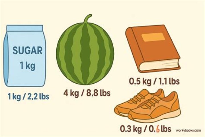 Are kilo and kilogram the same?
