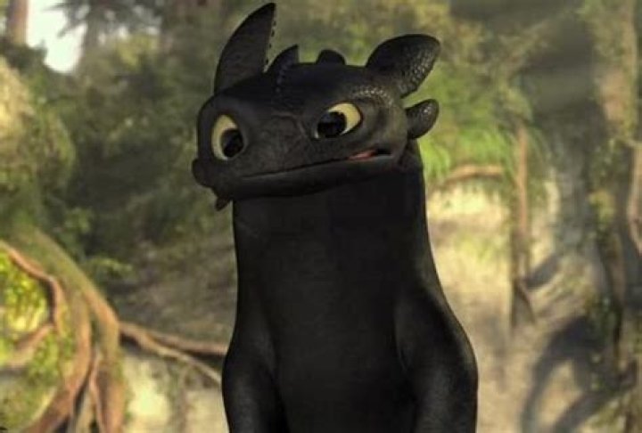 Is toothless modeled after a cat?