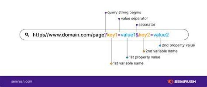 What are query parameters?